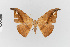  ( - Pe-Geo-3952)  @11 [ ] copyright (2024) Gunnar Brehm Friedrich-Schiller-University Jena