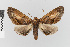  ( - Pe-Geo-4408)  @11 [ ] copyright (2024) Gunnar Brehm Friedrich-Schiller-University Jena