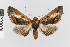 ( - Pe-Geo-4419)  @11 [ ] copyright (2024) Gunnar Brehm Friedrich-Schiller-University Jena