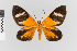  ( - Pe-Geo-7154)  @11 [ ] copyright (2024) Gunnar Brehm University of Jena