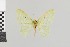  ( - Pe-Geo-8620)  @11 [ ] copyright (2025) Gunnar Brehm Friedrich-Schiller-University Jena