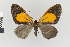  ( - Pe-Geo-8628)  @11 [ ] copyright (2025) Gunnar Brehm Friedrich-Schiller-University Jena