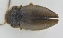  ( - AndDyt-CCDB30544-H09)  @11 [ ] CreativeCommons - Attribution Non-Commercial Share-Alike (2019) SNSB, Staatliche Naturwissenschaftliche Sammlungen Bayerns ZSM (SNSB, Zoologische Staatssammlung Muenchen)