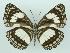  ( - ABRI-2015-00572)  @14 [ ] Unspecified (default): All Rights Reserved  Unspecified Unspecified
