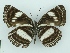  ( - ABRI-2015-02922)  @14 [ ] Unspecified (default): All Rights Reserved  Unspecified Unspecified
