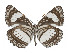  ( - ABRI-2016-2200)  @13 [ ] Unspecified (default): All Rights Reserved  Unspecified Unspecified