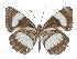  ( - ABRI-2016-2205)  @13 [ ] Unspecified (default): All Rights Reserved  Unspecified Unspecified