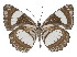  ( - ABRI-2016-2206)  @13 [ ] Unspecified (default): All Rights Reserved  Unspecified Unspecified