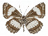  ( - ABRI-2016-4806)  @13 [ ] Unspecified (default): All Rights Reserved  Unspecified Unspecified