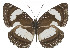  ( - IDR-A01378)  @14 [ ] Unspecified (default): All Rights Reserved  Unspecified Unspecified
