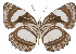  ( - IDR-A01378)  @14 [ ] Unspecified (default): All Rights Reserved  Unspecified Unspecified