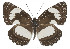  ( - IDR-A01402)  @14 [ ] Unspecified (default): All Rights Reserved  Unspecified Unspecified