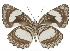  ( - IDR-A01402)  @14 [ ] Unspecified (default): All Rights Reserved  Unspecified Unspecified