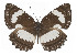  ( - IDR-A01454)  @15 [ ] Unspecified (default): All Rights Reserved  Unspecified Unspecified