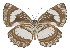  ( - IDR-A01454)  @13 [ ] Unspecified (default): All Rights Reserved  Unspecified Unspecified
