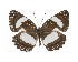  ( - IDR-A01563)  @14 [ ] CreativeCommons - Attribution Non-Commercial Share-Alike (2018) I Richardson ABRI, Nairobi