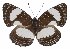  ( - IDR-A01623)  @14 [ ] CreativeCommons - Attribution Non-Commercial Share-Alike (2019) Ian Richardson Unspecified