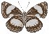  ( - IDR-A01623)  @14 [ ] CreativeCommons - Attribution Non-Commercial Share-Alike (2019) Ian Richardson Unspecified