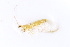  ( - CHR_2)  @11 [ ] Unspecified (default): All Rights Reserved  Unspecified Unspecified