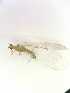  ( - CHR_47)  @11 [ ] Unspecified (default): All Rights Reserved  Unspecified Unspecified