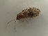  ( - HEM_29)  @11 [ ] Unspecified (default): All Rights Reserved  Unspecified Unspecified