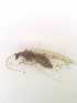  ( - HEM_88)  @11 [ ] Unspecified (default): All Rights Reserved  Unspecified Unspecified