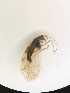  ( - HEM_89)  @11 [ ] Unspecified (default): All Rights Reserved  Unspecified Unspecified