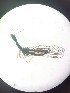  ( - RAP_10)  @11 [ ] Unspecified (default): All Rights Reserved  Unspecified Unspecified