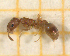  ( - BC-MTP-00159)  @11 [ ] CreativeCommons - Attribution Non-Commercial Share-Alike (2017) Rumsaïs Blatrix CEFE Lab