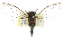  ( - 11ANIC-16451)  @12 [ ] CreativeCommons - Attribution (2011) ANIC/CBG Photography Group Centre for Biodiversity Genomics