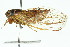  ( - 11ANIC-16598)  @14 [ ] CreativeCommons - Attribution (2011) ANIC/CBG Photography Group Centre for Biodiversity Genomics