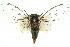  ( - 11ANIC-16618)  @11 [ ] CreativeCommons - Attribution (2011) ANIC/CBG Photography Group Centre for Biodiversity Genomics