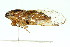  ( - 11ANIC-16895)  @14 [ ] CreativeCommons - Attribution (2011) ANIC/CBG Photography Group Centre for Biodiversity Genomics