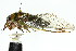  ( - 11ANIC-16969)  @11 [ ] CreativeCommons - Attribution (2011) ANIC/CBG Photography Group Centre for Biodiversity Genomics