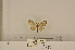  ( - ANHRTUK-00039440)  @11 [ ] CreativeCommons - Attribution Share-Alike (2020) Unspecified African Natural History Research Trust collection, Kingsland, UK