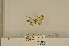  ( - ANHRTUK-00073570)  @11 [ ] CreativeCommons - Attribution Share-Alike (2020) Unspecified African Natural History Research Trust collection, Kingsland, UK