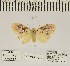  ( - ANHRTUK-00073595)  @11 [ ] CreativeCommons - Attribution Share-Alike (2020) Unspecified African Natural History Research Trust collection, Kingsland, UK