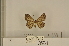  ( - ANHRTUK-00081925)  @11 [ ] CreativeCommons - Attribution Share-Alike (2020) Unspecified African Natural History Research Trust collection, Kingsland, UK