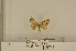  ( - ANHRTUK-00095787)  @11 [ ] CreativeCommons - Attribution Share-Alike (2020) Unspecified African Natural History Research Trust collection, Kingsland, UK