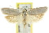  ( - CCDB-15722-H11)  @11 [ ] CreativeCommons - Attribution (2011) ANIC/CBG Photography Group Centre for Biodiversity Genomics