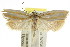  ( - CCDB-15724-A10)  @13 [ ] CreativeCommons - Attribution (2011) ANIC/CBG Photography Group Centre for Biodiversity Genomics