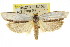  ( - CCDB-15724-F05)  @13 [ ] CreativeCommons - Attribution (2011) ANIC/CBG Photography Group Centre for Biodiversity Genomics