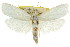  ( - CCDB-15725-B01)  @11 [ ] CreativeCommons - Attribution (2011) ANIC/CBG Photography Group Centre for Biodiversity Genomics