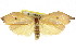  ( - CCDB-15725-B10)  @11 [ ] CreativeCommons - Attribution (2011) ANIC/CBG Photography Group Centre for Biodiversity Genomics