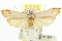  ( - CCDB-15725-G12)  @11 [ ] CreativeCommons - Attribution (2011) ANIC/CBG Photography Group Centre for Biodiversity Genomics