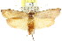  ( - CCDB-15725-H02)  @11 [ ] CreativeCommons - Attribution (2011) ANIC/CBG Photography Group Centre for Biodiversity Genomics