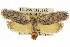  ( - CCDB-15726-D07)  @11 [ ] CreativeCommons - Attribution (2011) ANIC/CBG Photography Group Centre for Biodiversity Genomics