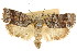  ( - CCDB-15726-H04)  @11 [ ] CreativeCommons - Attribution (2011) ANIC/CBG Photography Group Centre for Biodiversity Genomics