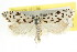  ( - CCDB-15730-C05)  @11 [ ] CreativeCommons - Attribution (2011) ANIC/CBG Photography Group Centre for Biodiversity Genomics