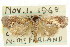  ( - CCDB-15730-E05)  @14 [ ] CreativeCommons - Attribution (2011) ANIC/CBG Photography Group Centre for Biodiversity Genomics